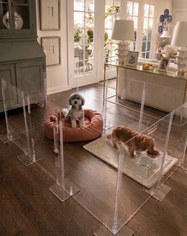 Stylish dog playpen in clear acrylic