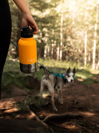 PupPak Dog Travel Water Bottle with Detachable Food & Water Bowls