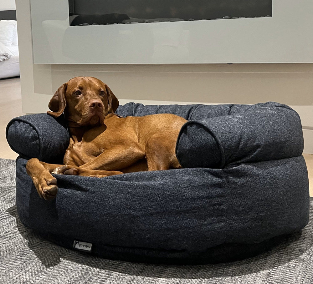 Bowsers Double Donut Sofa Dog Bed