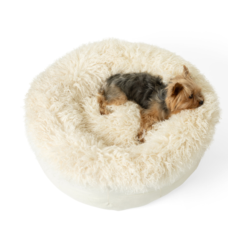 Small dog lying on a fluffy white pet bed against a white background
