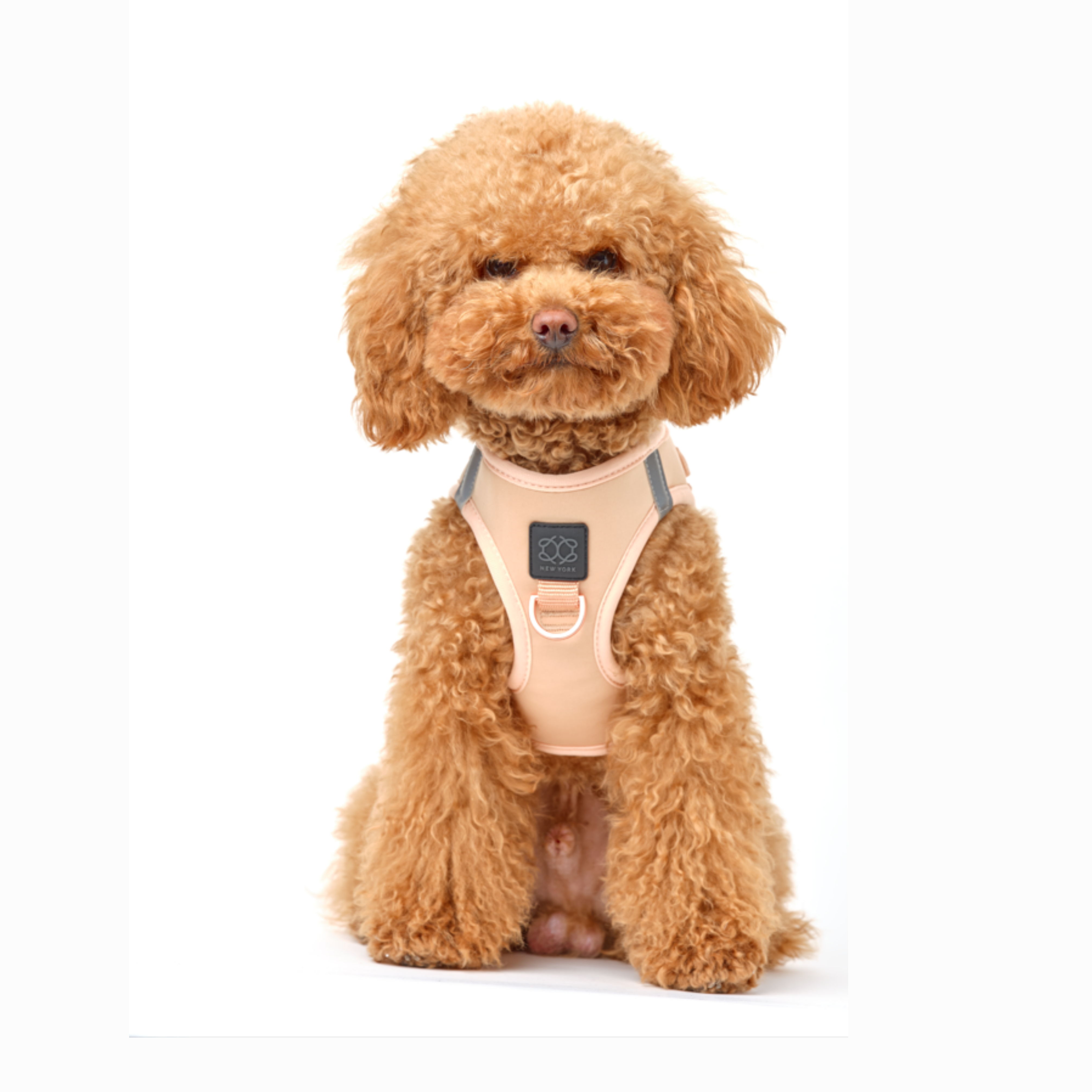 No-Pull, Step-In SoHo Dog Harness For Small Dogs - Dune