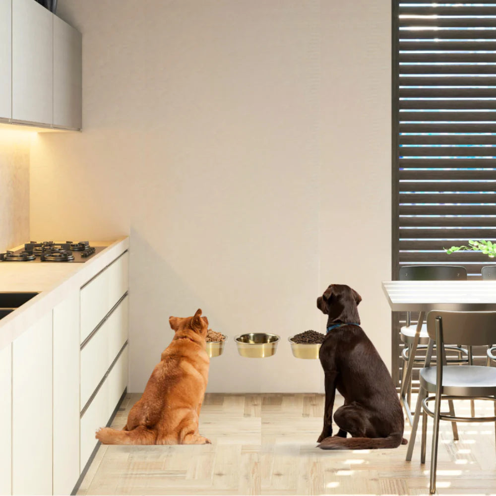 Elevated large dog bowls