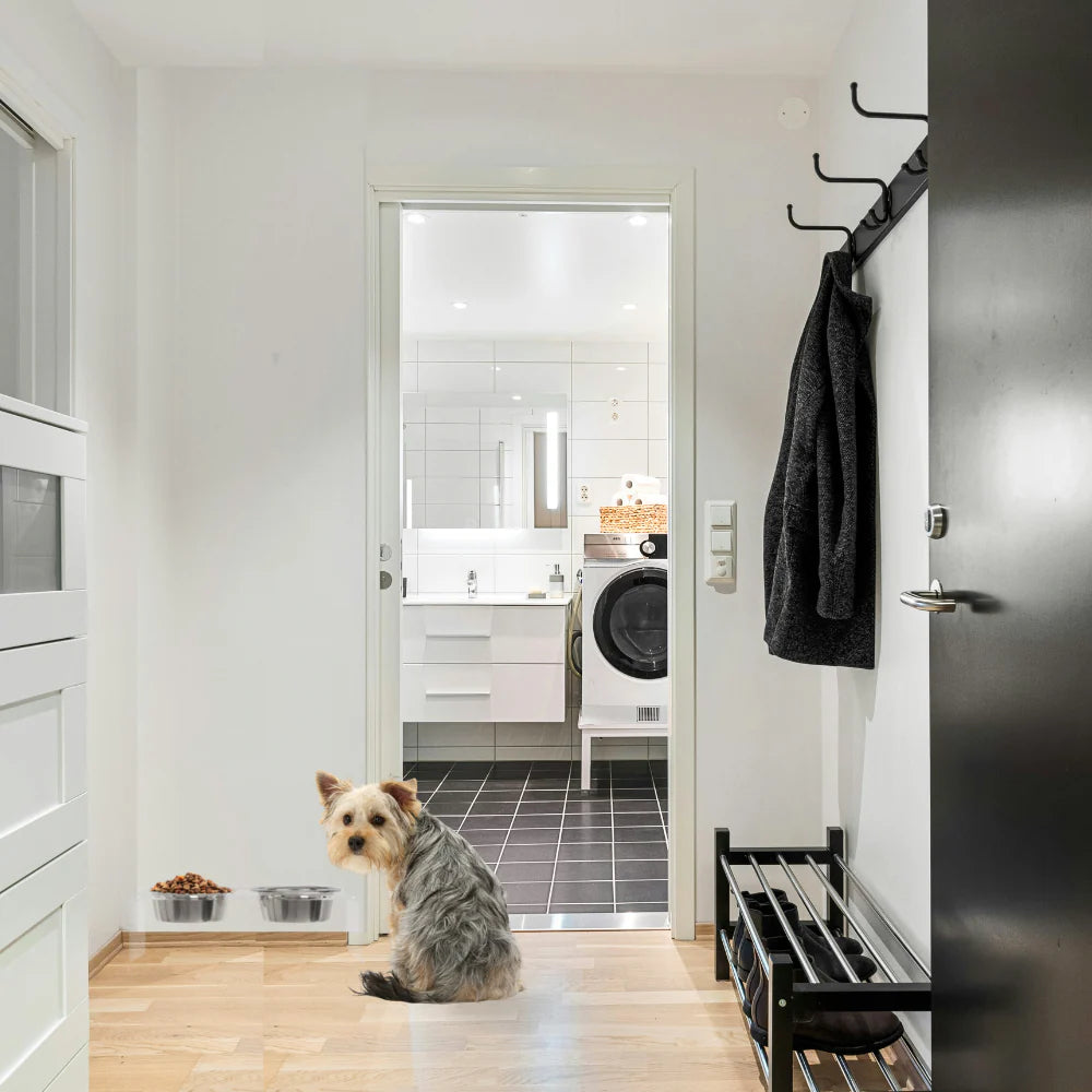 Yorkie with a chic dog feeder with acrylic stand