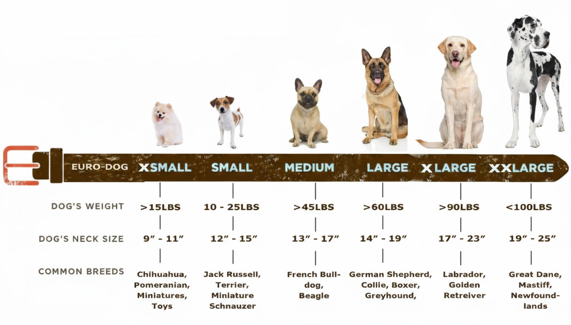 Quick-Release Style Leather Collar and Leash Set