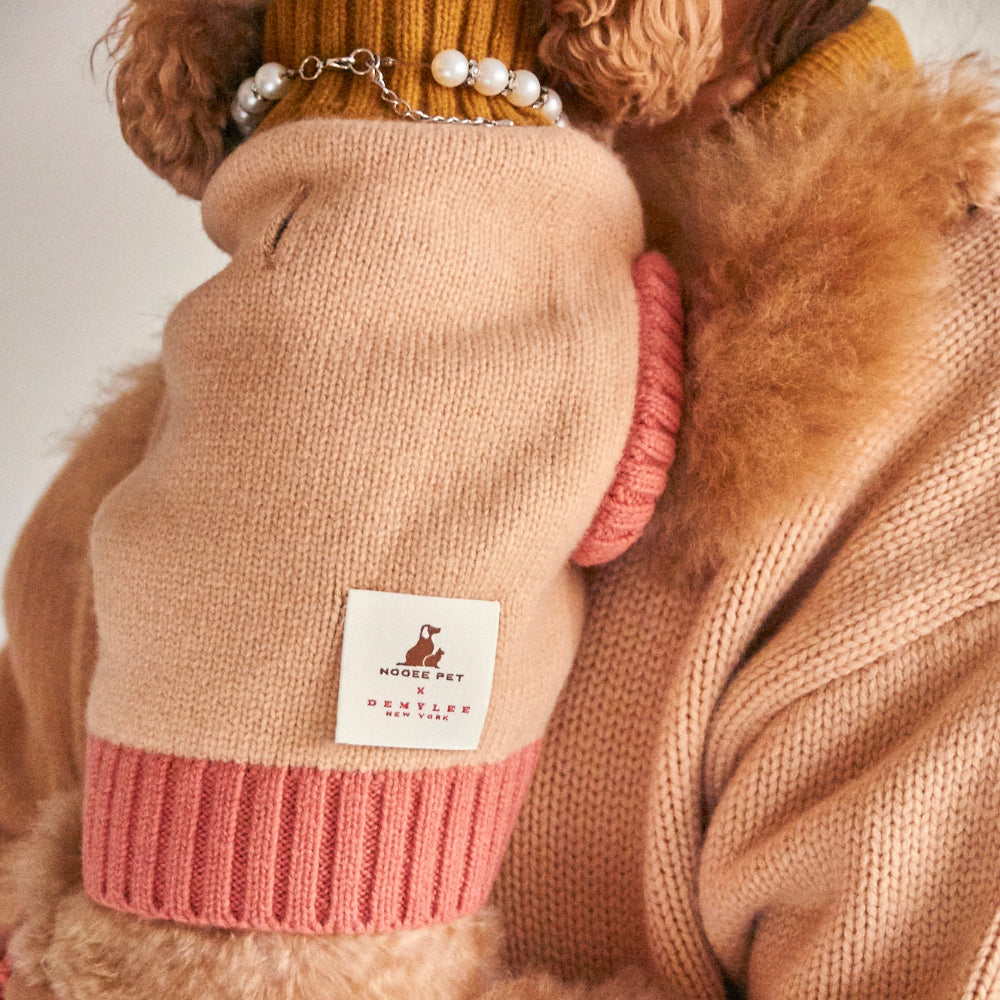 Small dog wearing a knitted sweater with a brand label on a neutral background