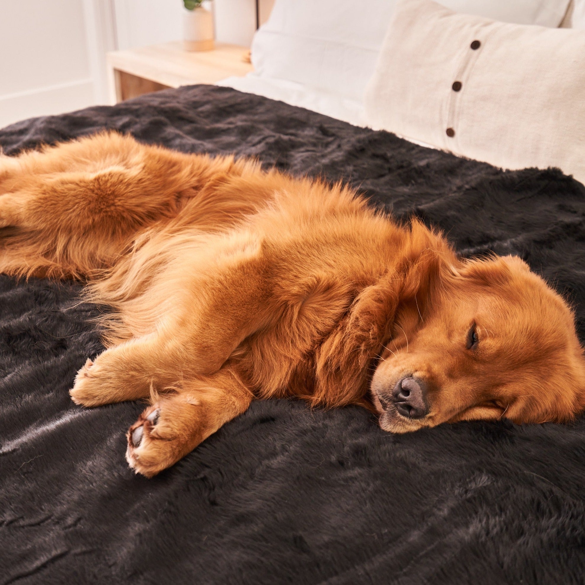 PupProtector Summer Short Fur Waterproof Throw Blanket - Midnight Black