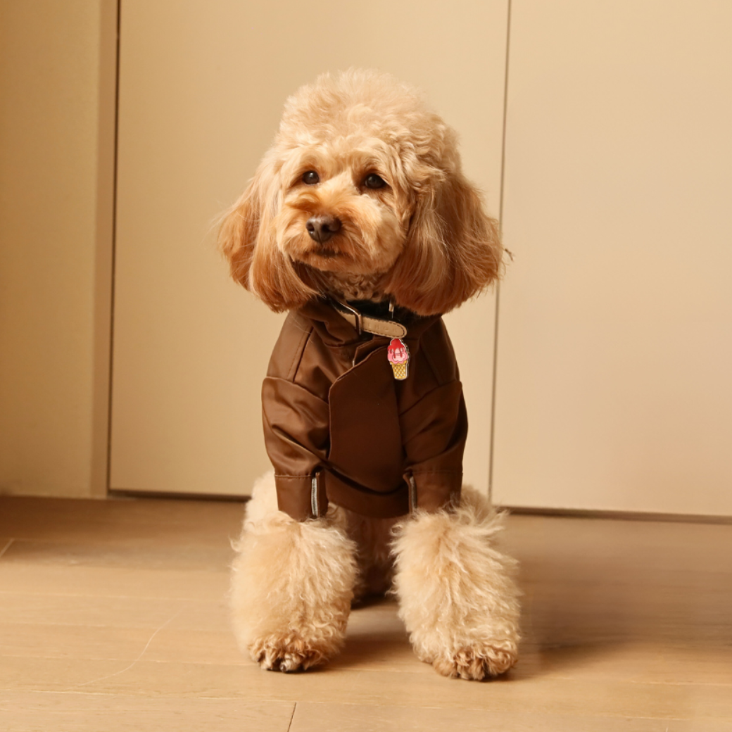 PEHOM Tribeca hooded dog raincoat in Choco brown
