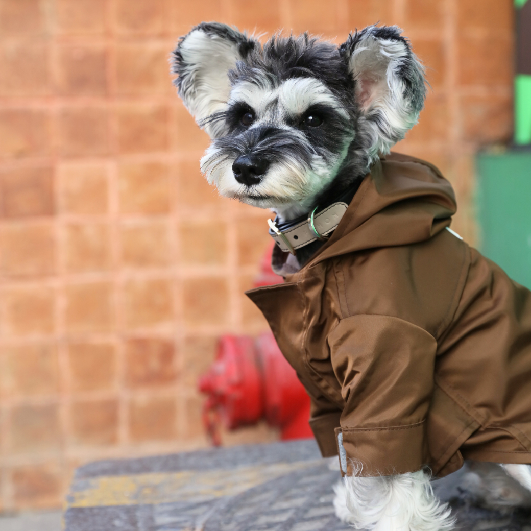 PEHOM Tribeca hooded dog raincoat in Choco brown