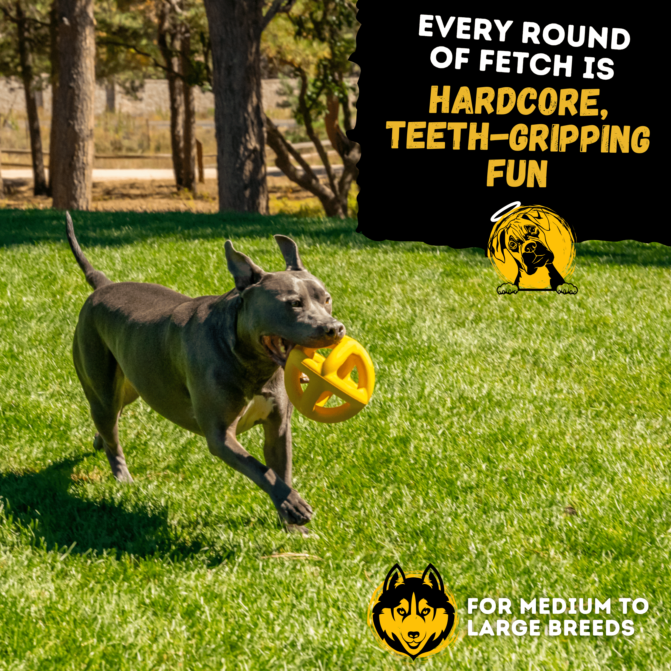Big dog pitbull running with a yellow indestructible toy in a grassy field, promotional text overlay.