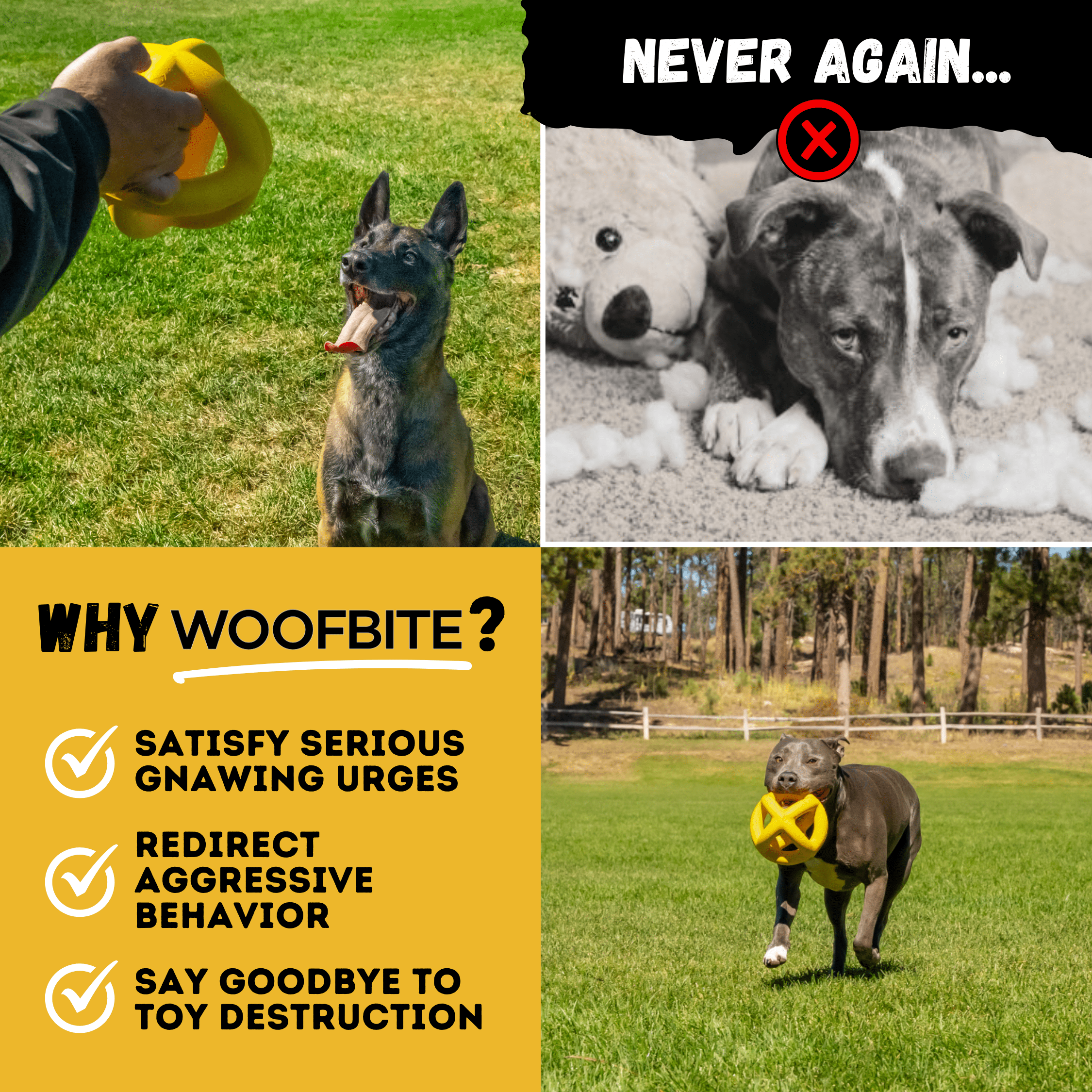 Dog playing with a toy, with text highlighting features of a product called Woofbite.