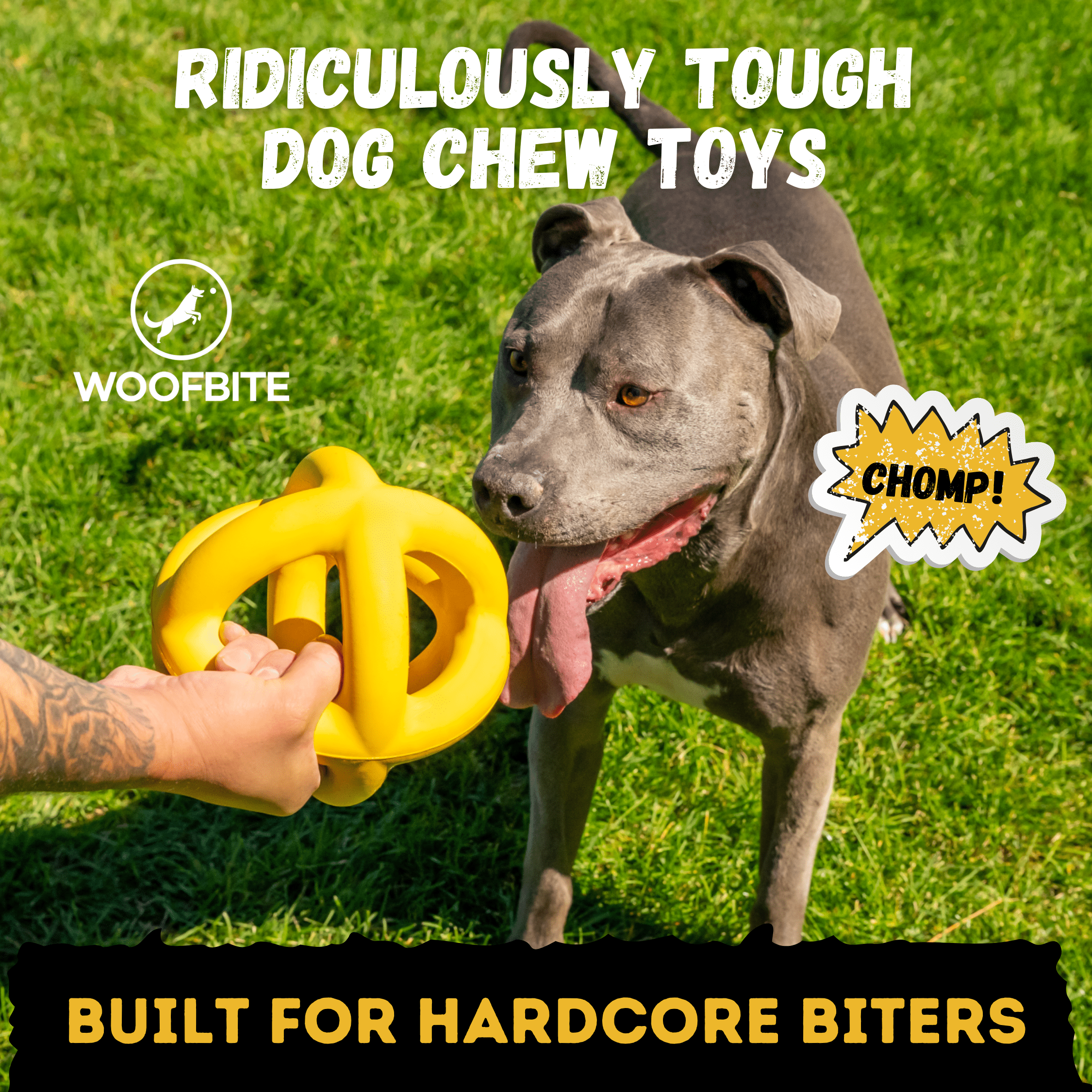 Pitbull playing with a yellow indestructible chew toy on grass, with text about tough dog chew toys and Woofbite brand.