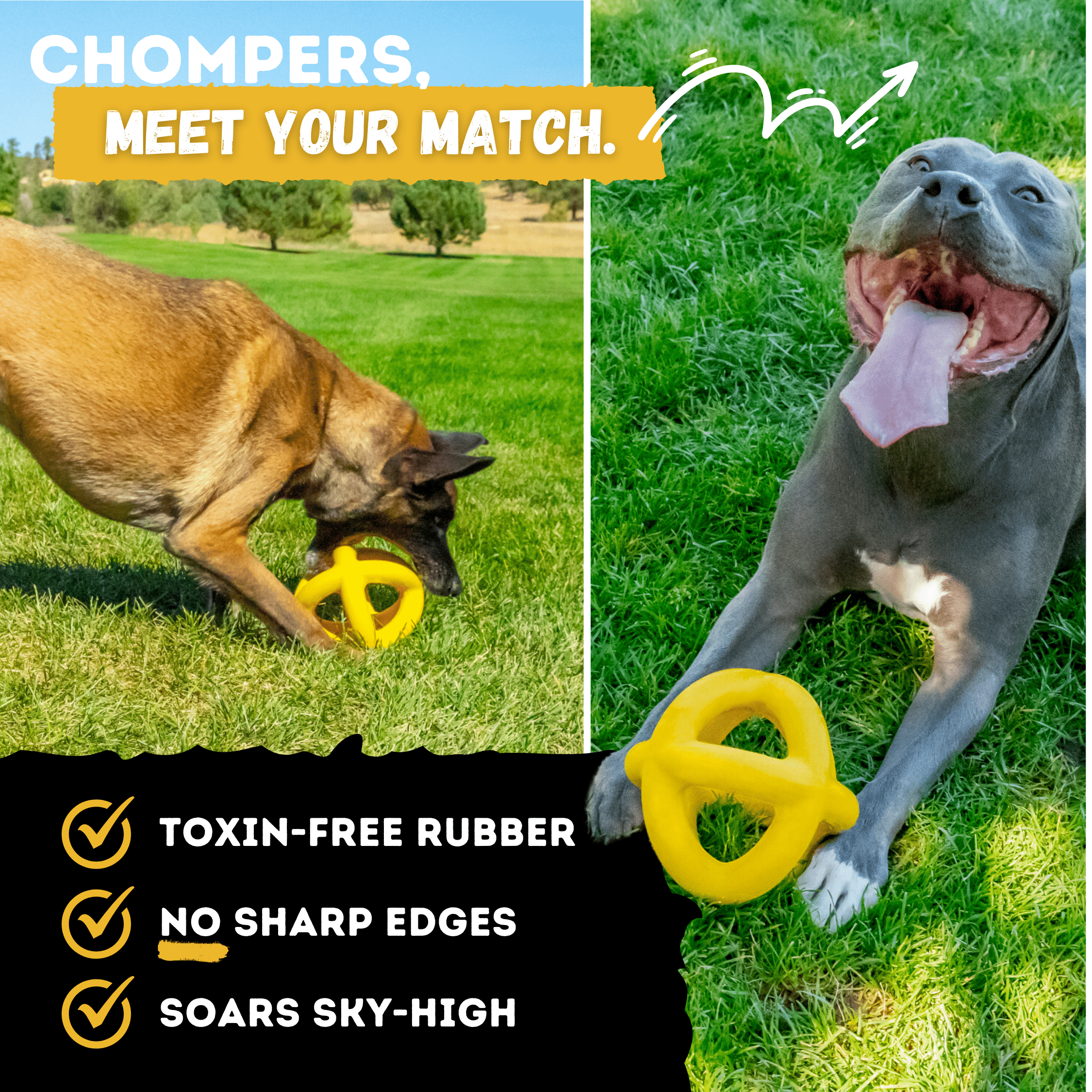 Two big dogs playing with a yellow rubber toy on grass, with text highlighting product features.