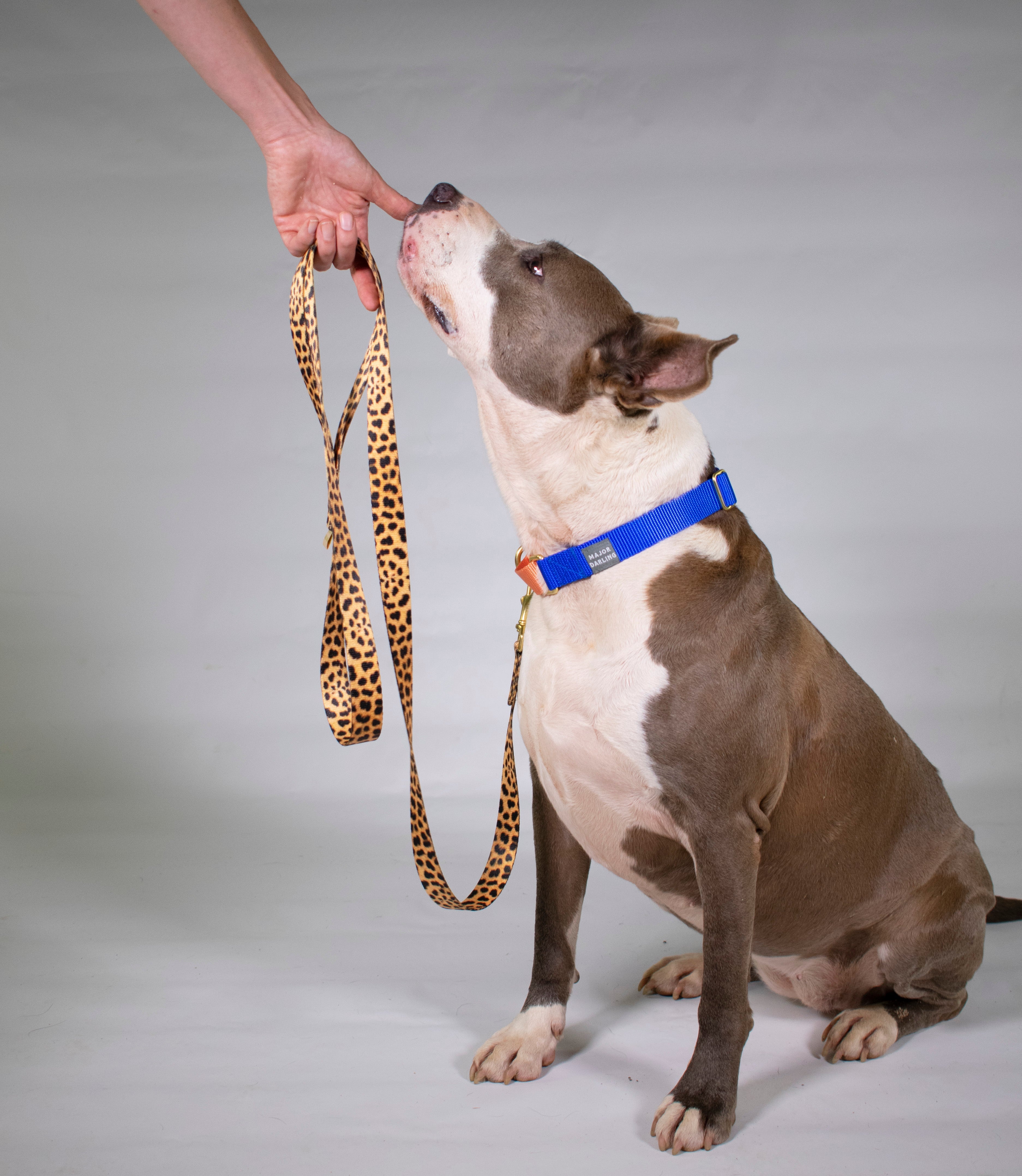Leopard Design Stylish Dog Leash For Small and Large Dogs