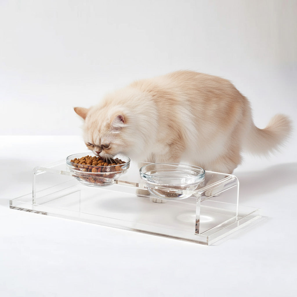 Cat eating from a raised food bowl on a clear acrylic stand with a white background