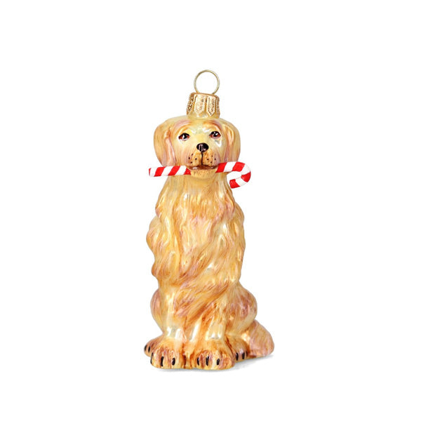 Dog-shaped Christmas ornament with a candy cane on Golden Retriever's mouth
