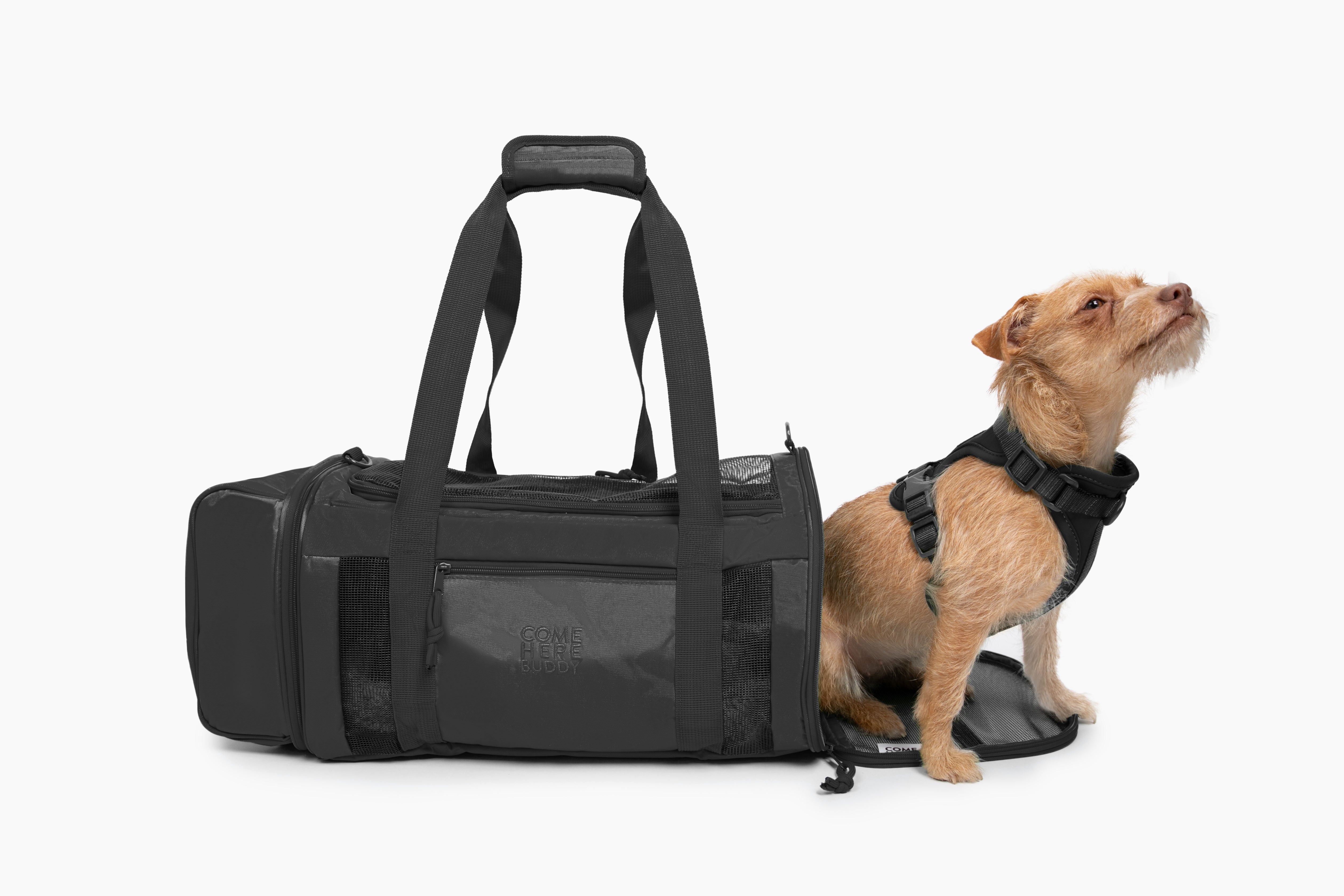 Travel Buddy Stylish Pet Carrier For Cats & Dogs