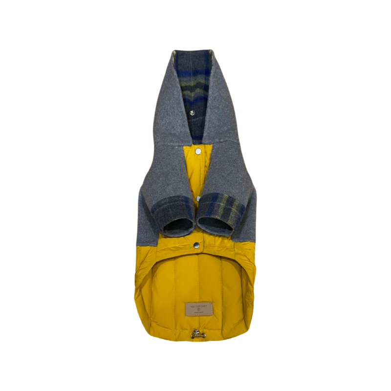 Yellow and gray hooded dog jacket