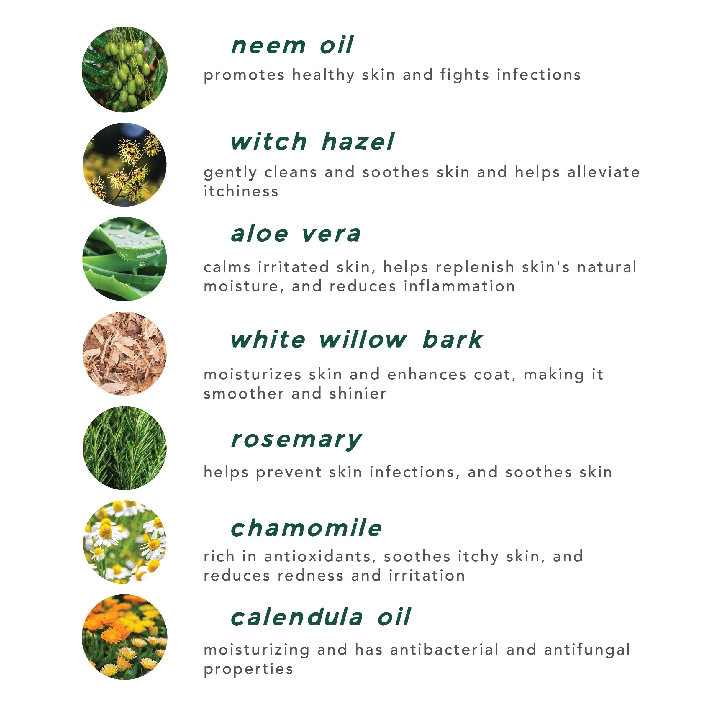 Soothing Ear & Skin Solution for Pets