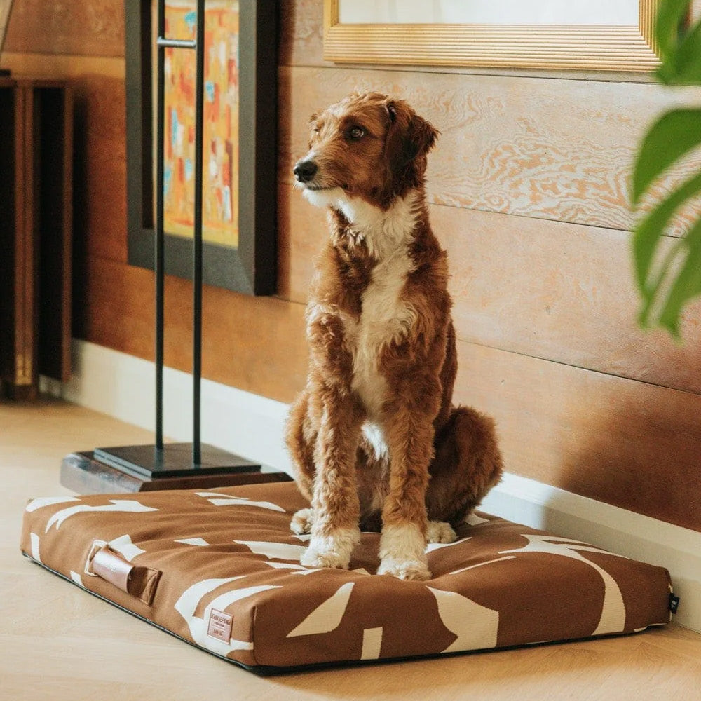Large dog sitting on a brown patterned dog bed in a stylish home setting