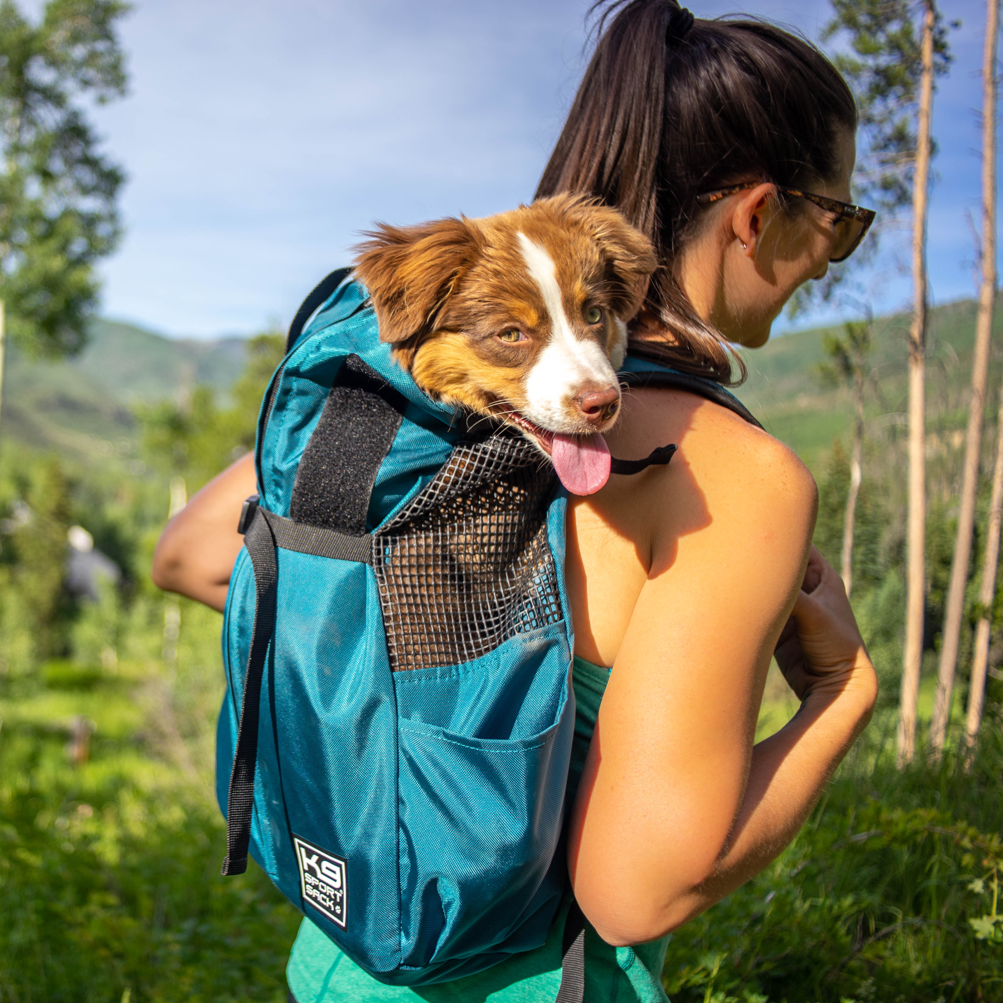 Trainer | Puppy & Small Dog Carrier Backpack