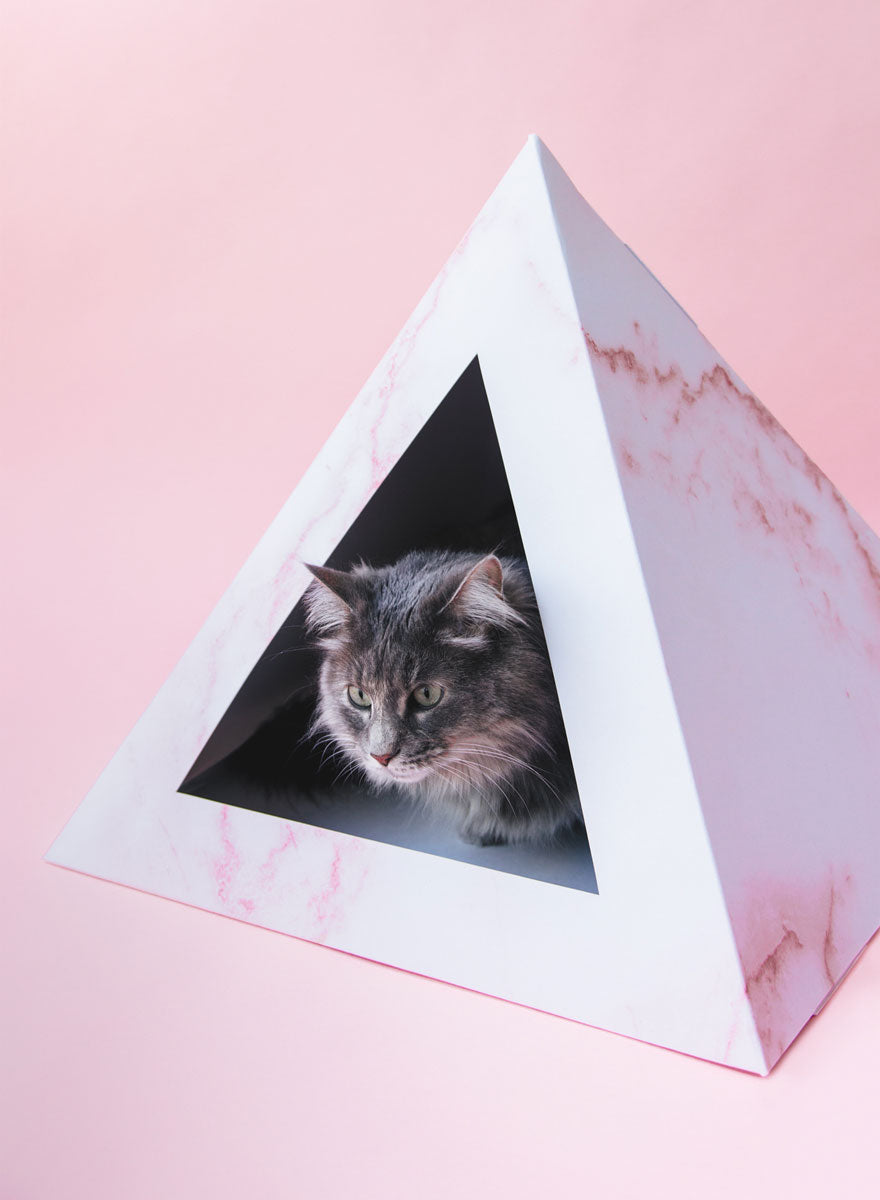 Cardboard Cat House | Rose Quartz