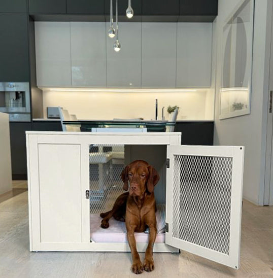 Rhodesian ridge dog inside a designer dog crate in white wood
