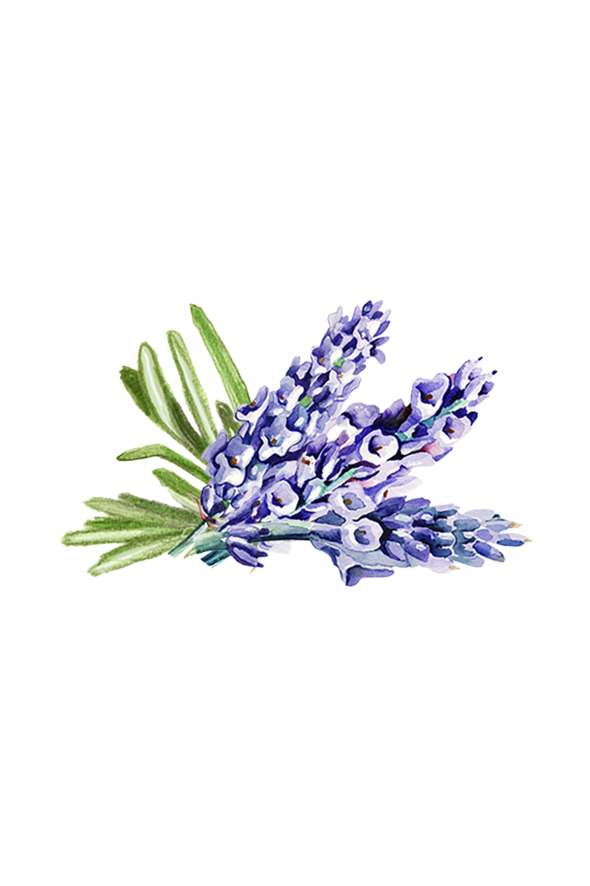 Lavender & Rosemary Essential Oil Blend