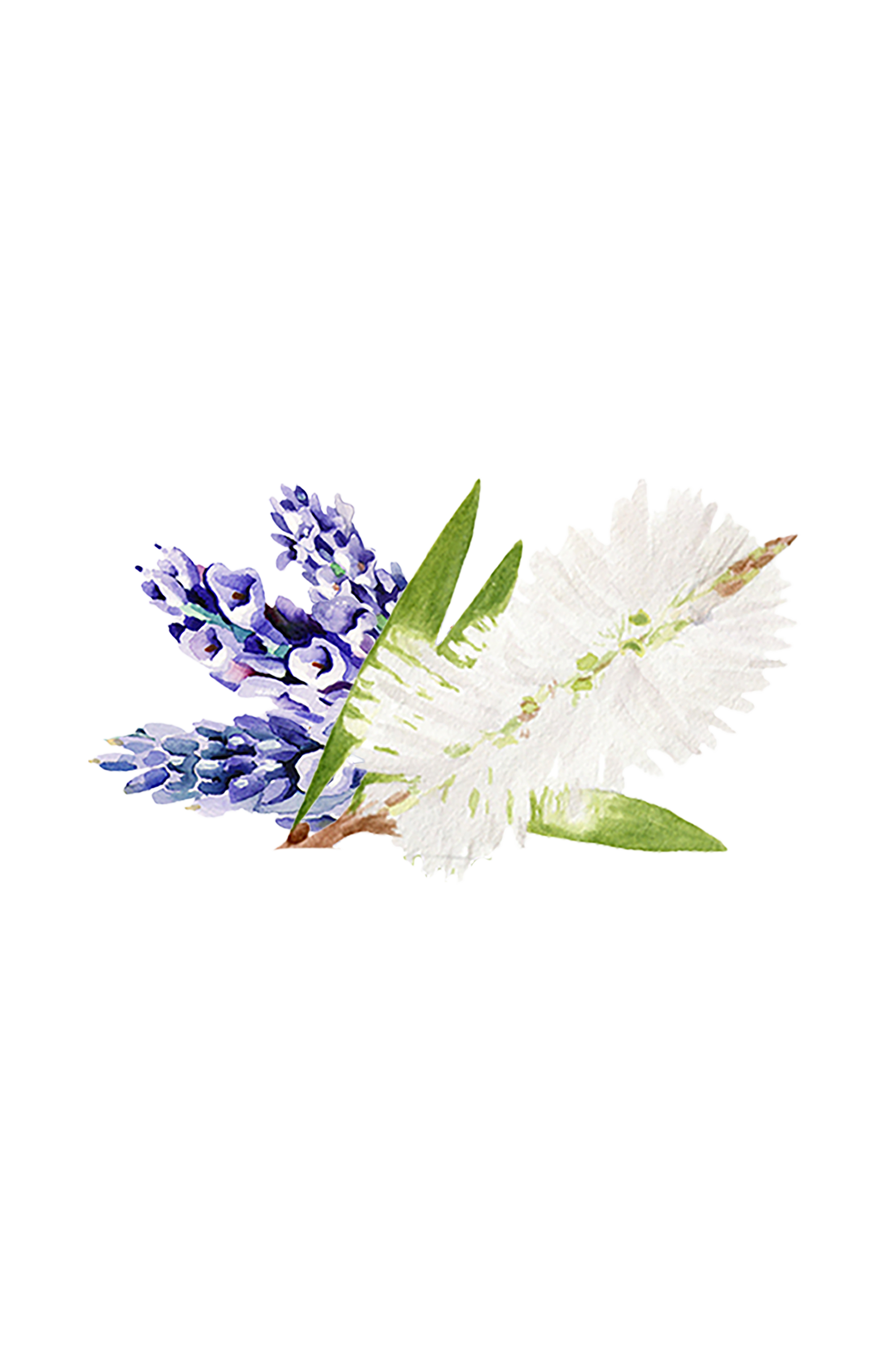 Lavender & Tea Tree Essential Oil Blend