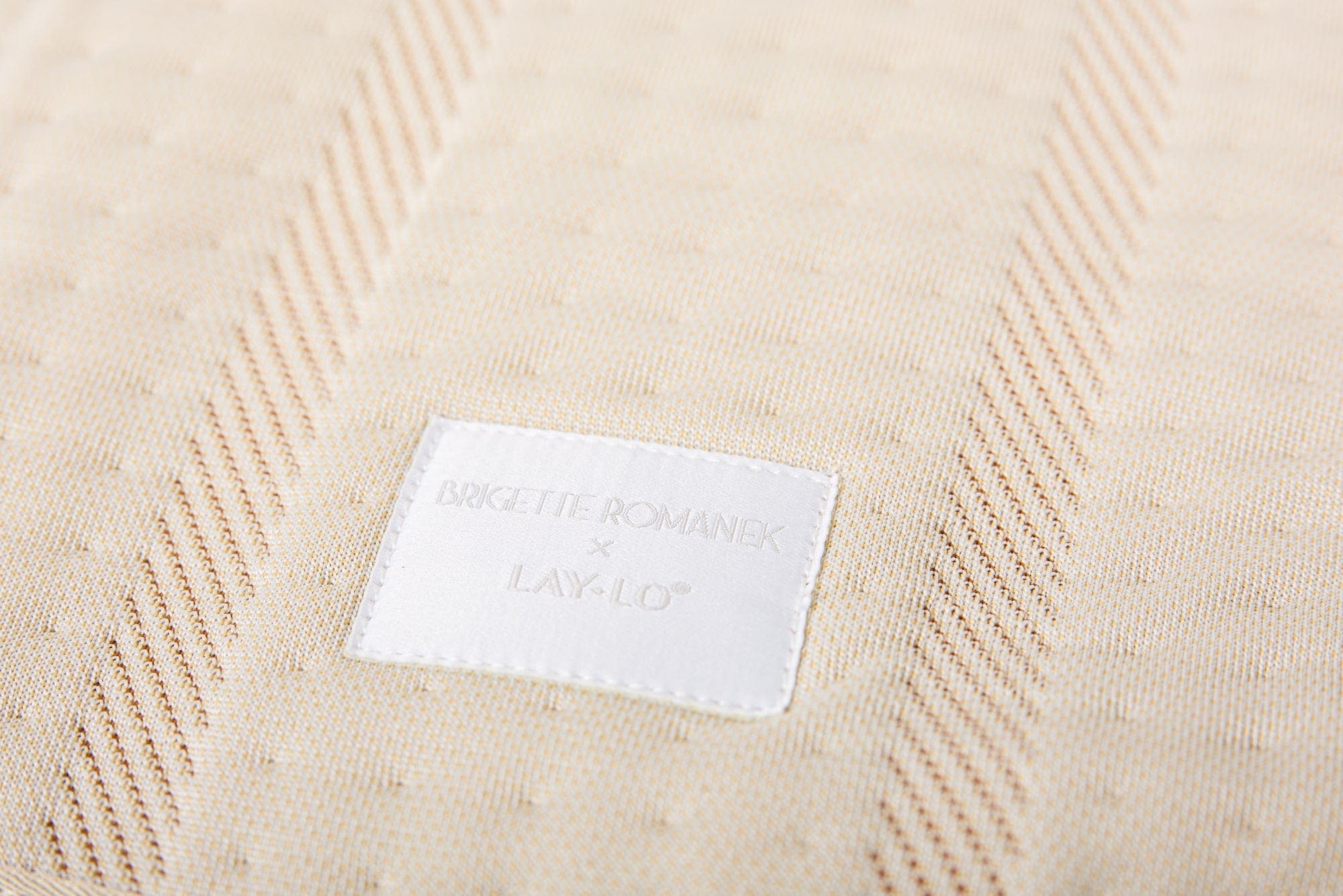 Luxury Pet Blanket by Brigette Romanek - Cream