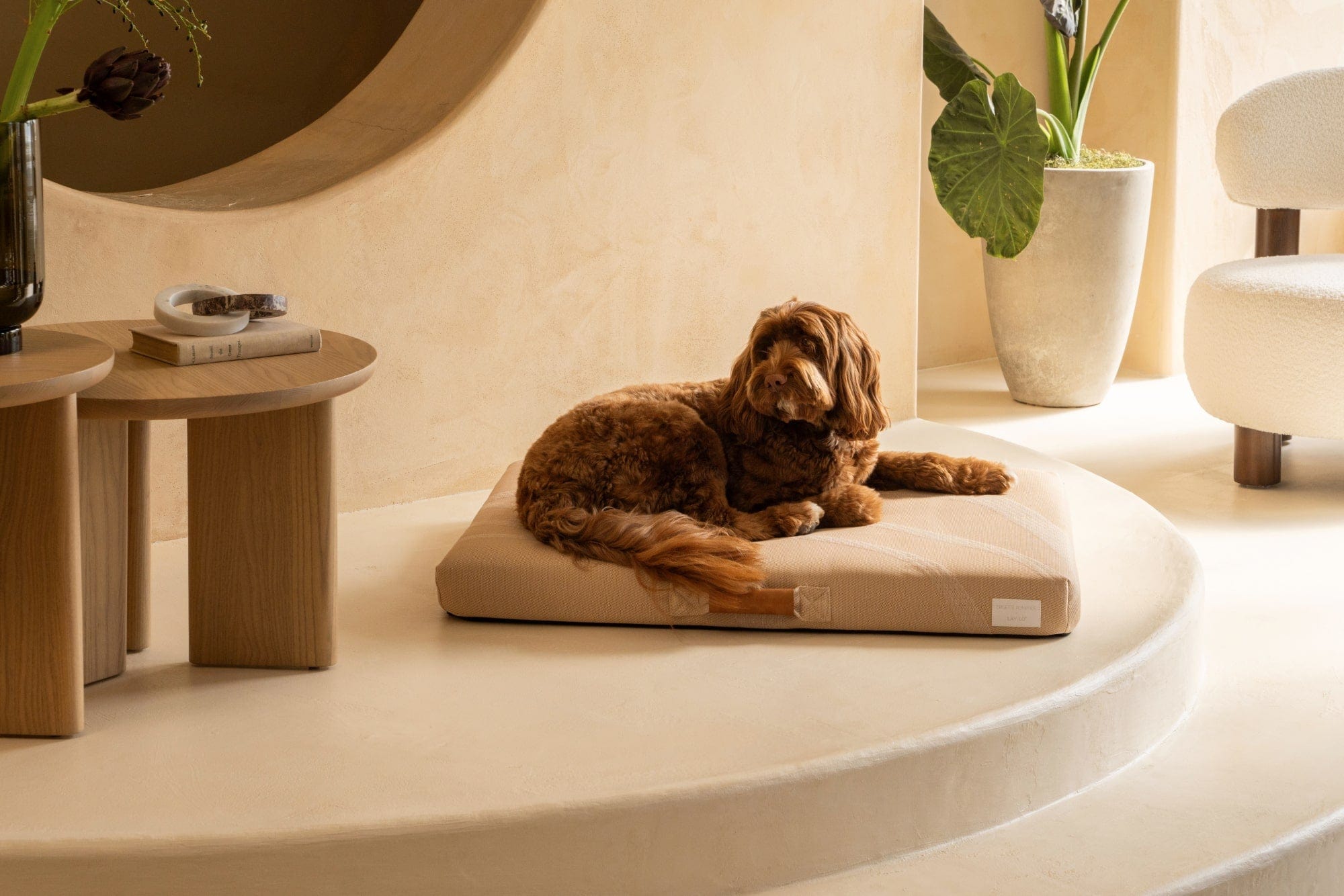 Brigette Romanek | Designer Dog Bed With Removable Luxe Cover - Taupe