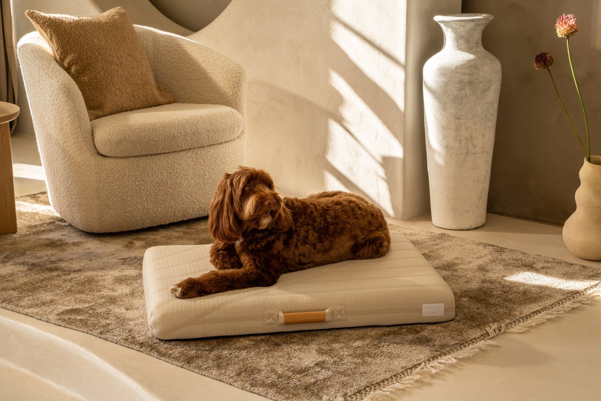 Brigette Romanek Designer | Designer Dog Bed With Removable Luxery Cover - Beige