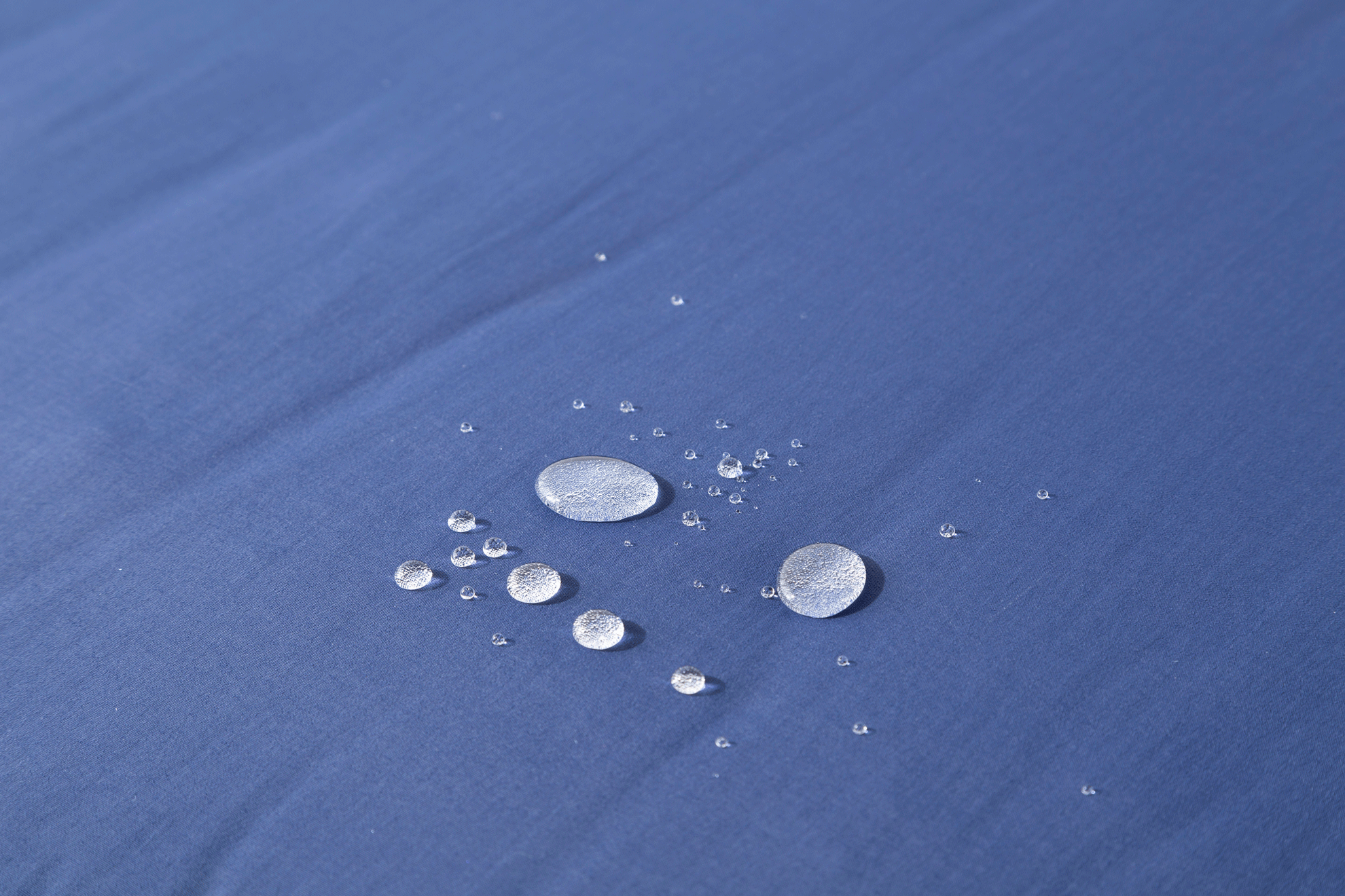 Brigette Romanek Designer | Designer Dog Bed With Removable Luxery Cover - Beige