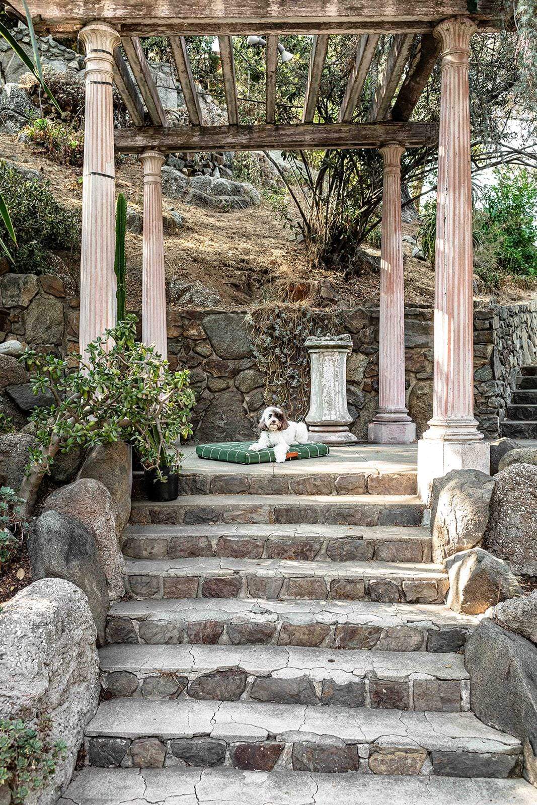 Hunter Green Grid | Designer Dog Bed With Removable Cover