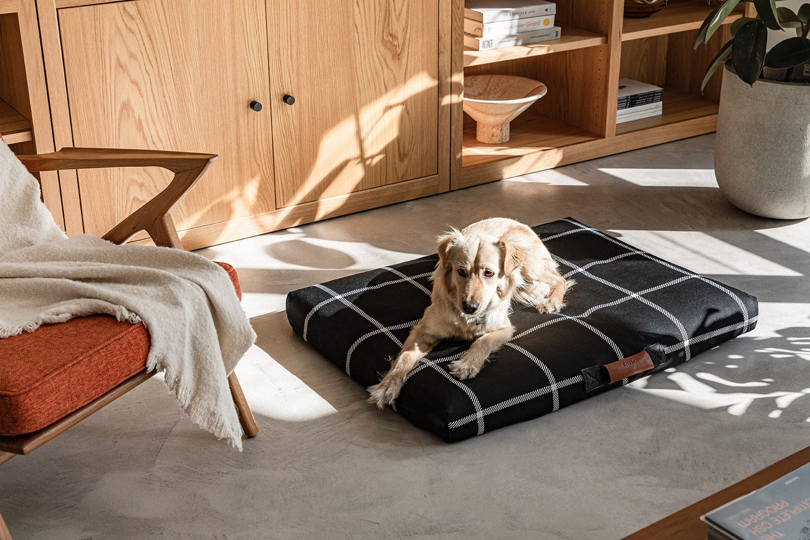 Cute dog lying on a stylish black and white checkered pet bed in a room with wooden furniture and a plant.