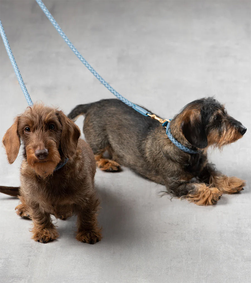 Ferdinando Italian Leather Dog Collar & Leash Set