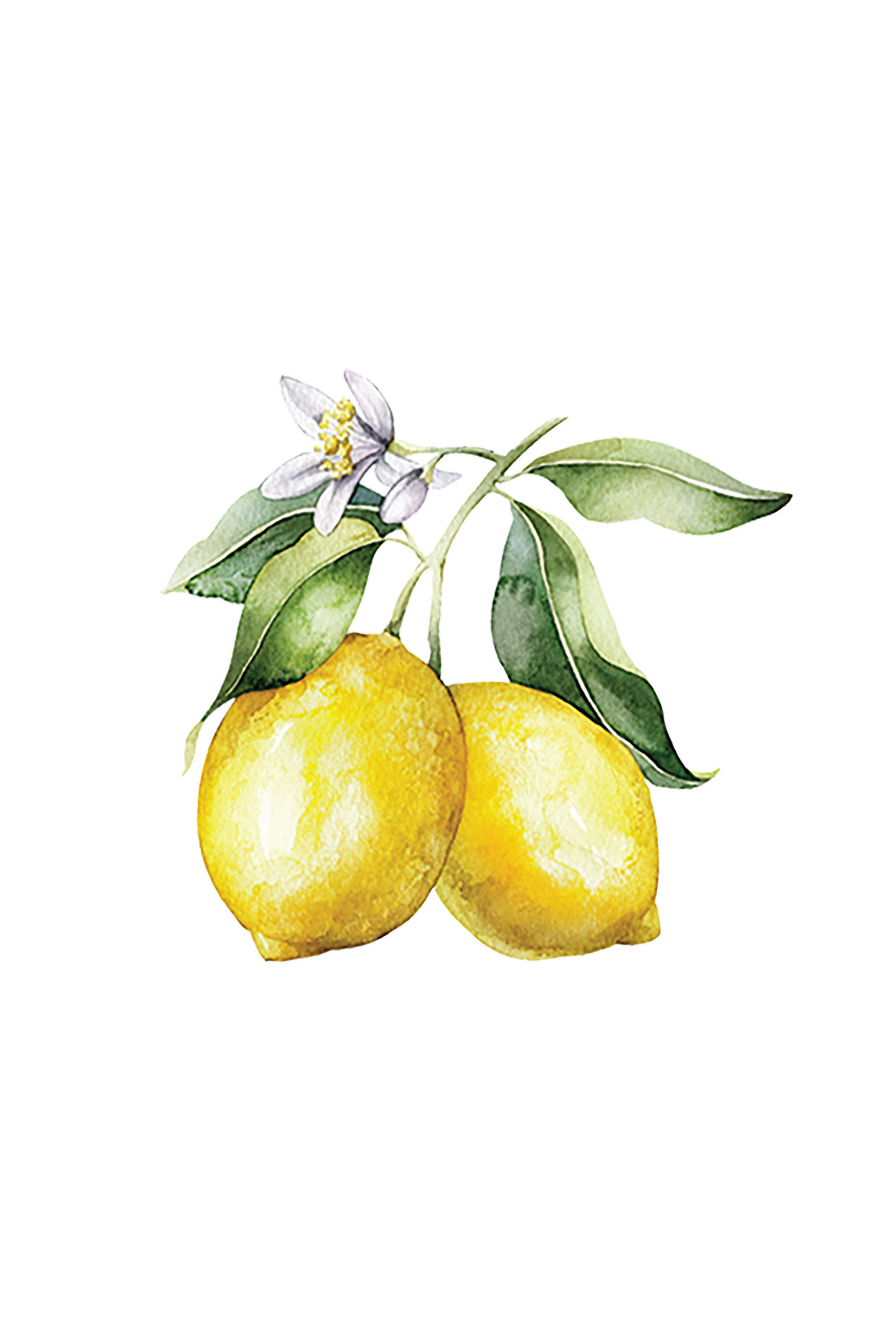Lemon Essential Oil
