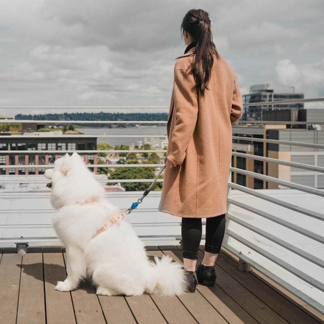 #color_Glacier White