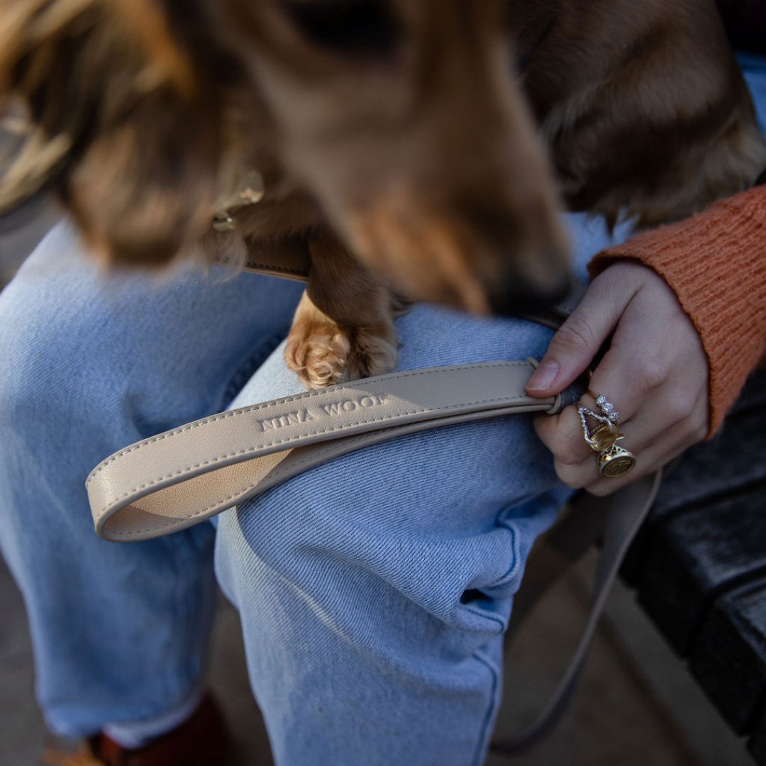 Dog Leash 4ft - Vegan Leather - London