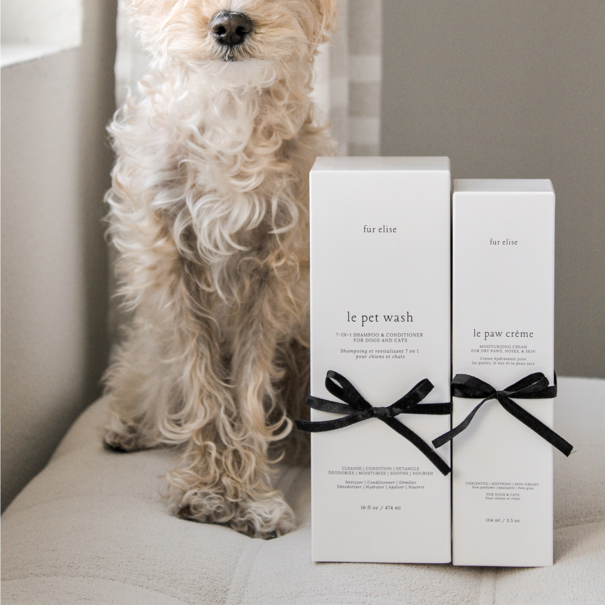 Dog standing next to two 'fur elise' luxury pet shampoo and conditioner boxes on a couch.