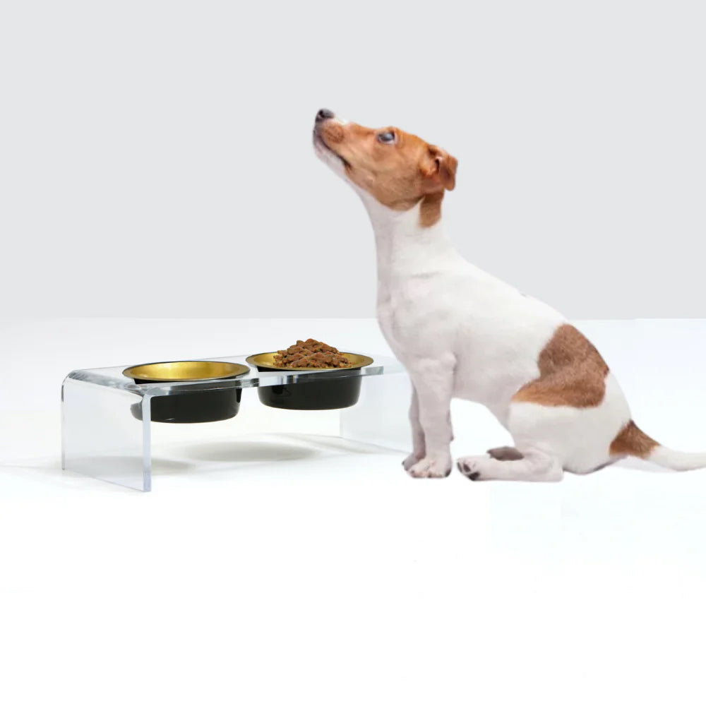 High quality dog bowls with acrylic stand is perfect for medium size terrier dogs.