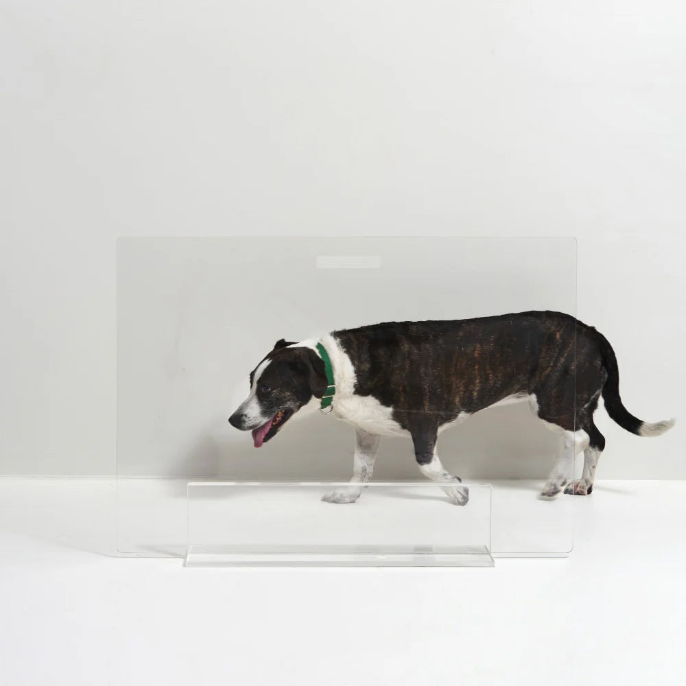 Hiddin Freestanding Acrylic Dog Gate Panel