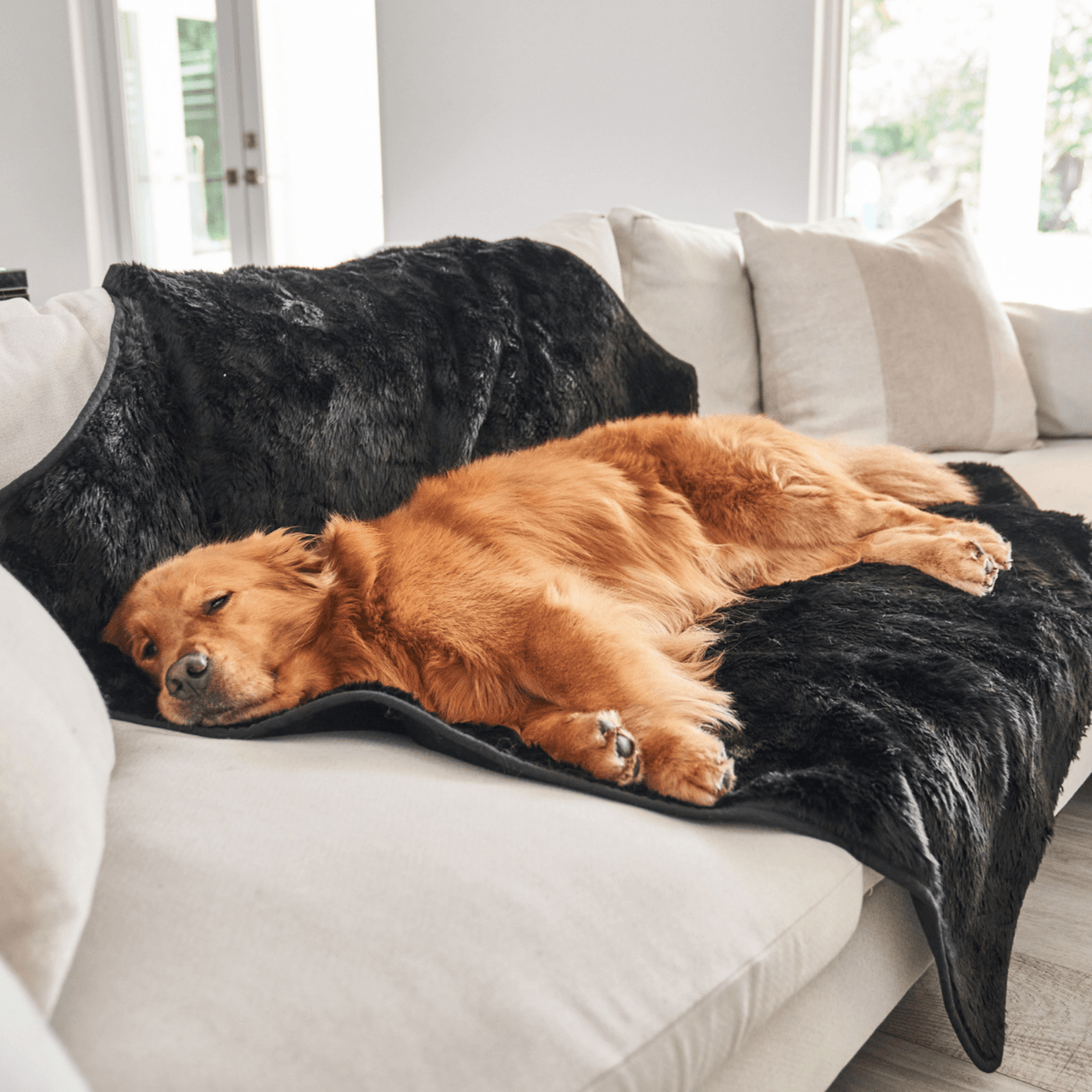 PupProtector Summer Short Fur Waterproof Throw Blanket - Midnight Black