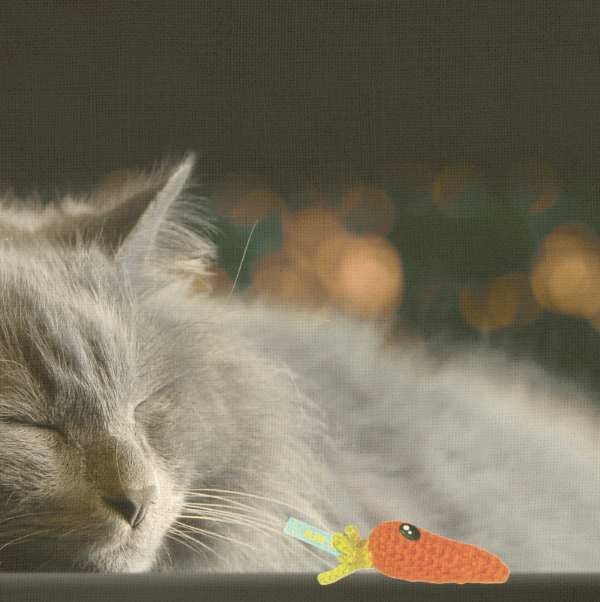Cat sleeping with a toy carrot in the foreground