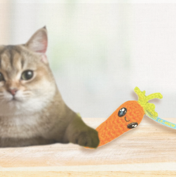 Cat playing with a carrot-shaped toy on a wooden surface