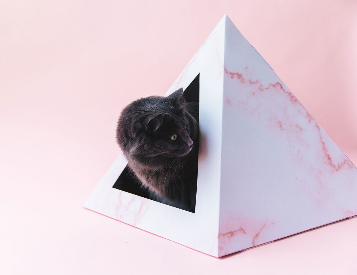 Cardboard Cat House | Rose Quartz