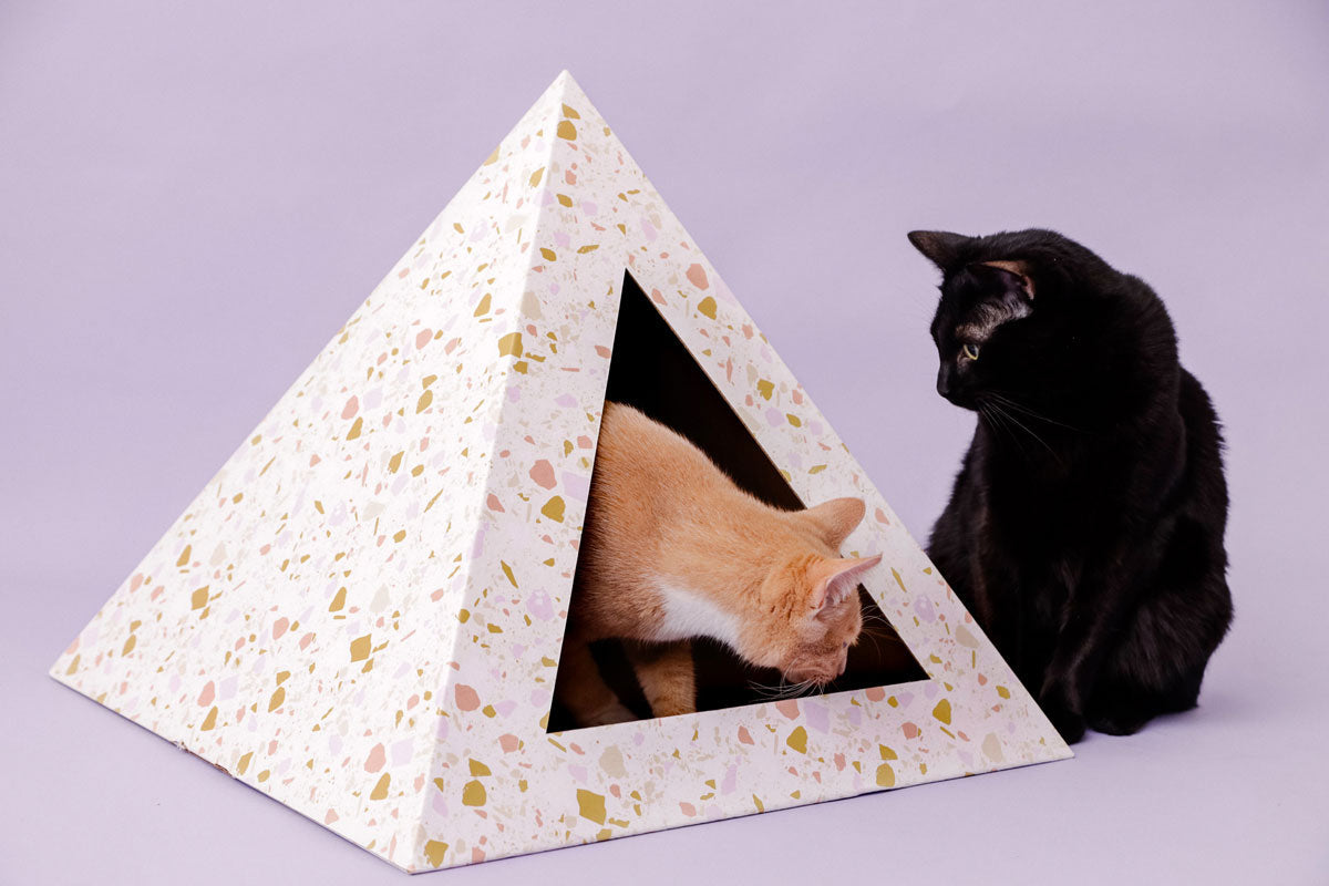 Pyramid-shaped cat house with two cats interacting on a light purple background and cardboard