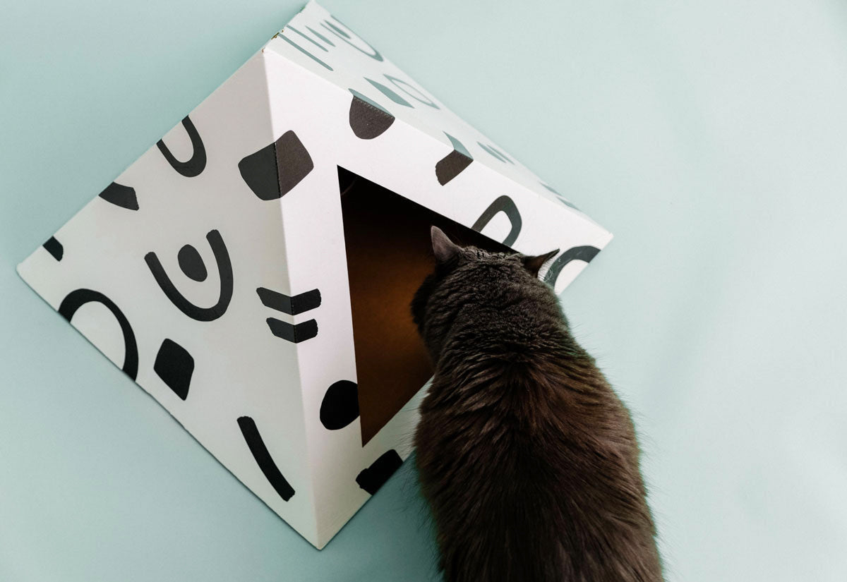 Cat looking into a geometrically shaped cat cardboard house with abstract patterns on a light blue background