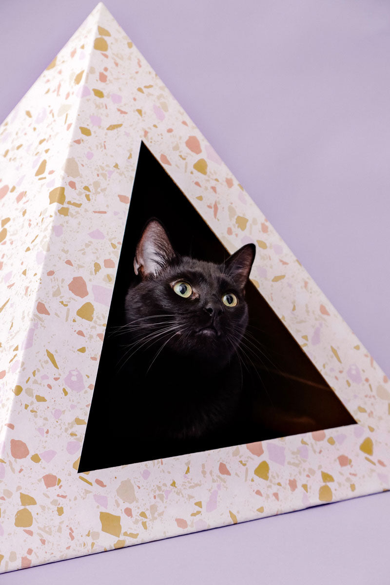 Black cat inside a pyramid-shaped cardboard pet bed with a terrazzo pattern on a box with light purple background
