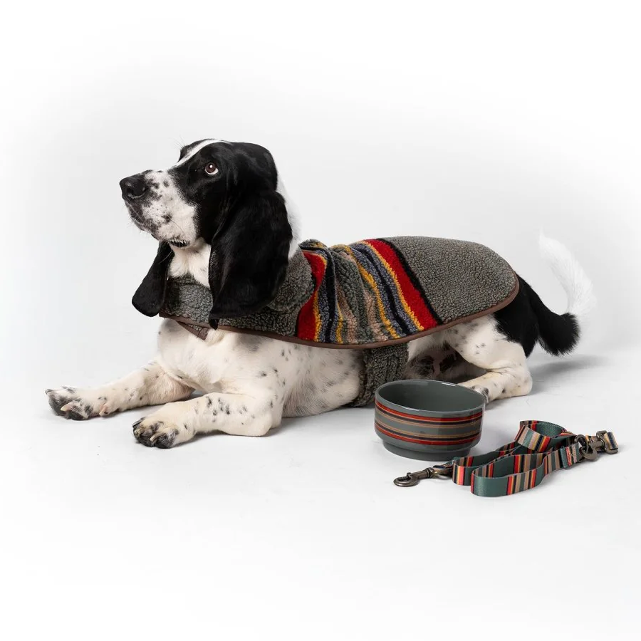 Dog wearing a striped Pendleton sweater with a bowl and leash and a ceramic pet food bowl