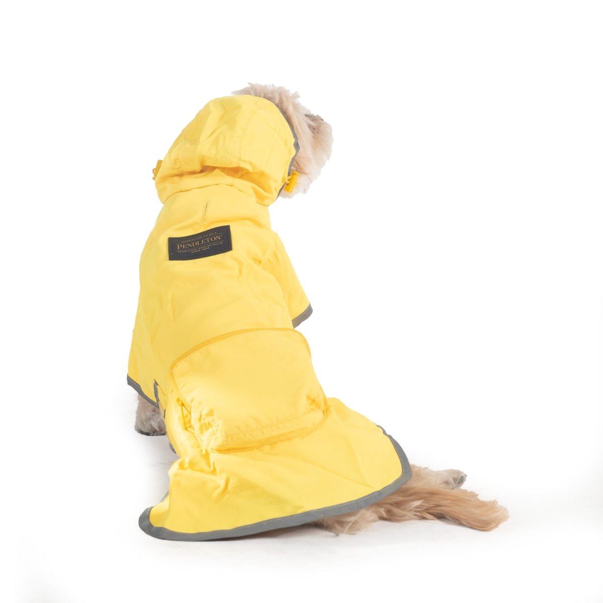 Dog wearing a yellow raincoat with a Pendleton label on a white background